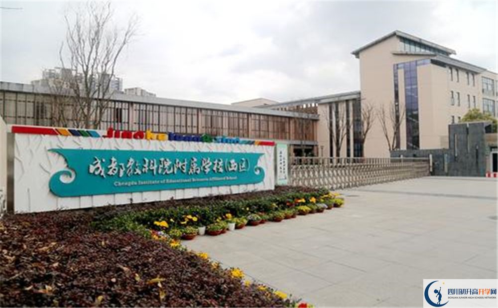 成都教科院附屬學(xué)校2020年高考人數(shù)是多少？