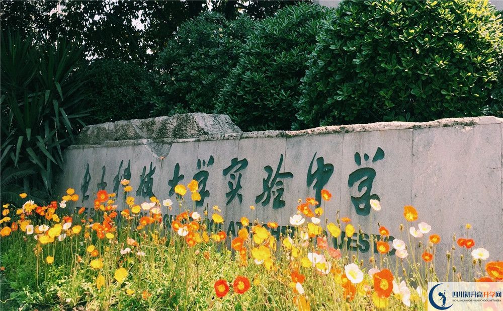 電子科技大學實驗中學2020年中考錄取分數是多少？