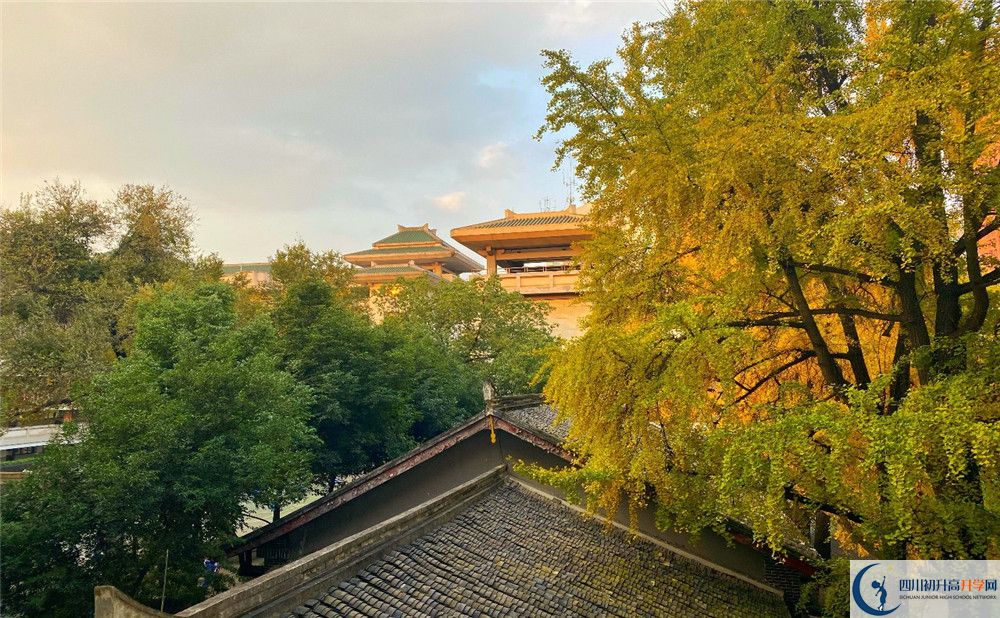 成都石室中學北湖校區(qū)2020年中考錄取分數(shù)線是多少？