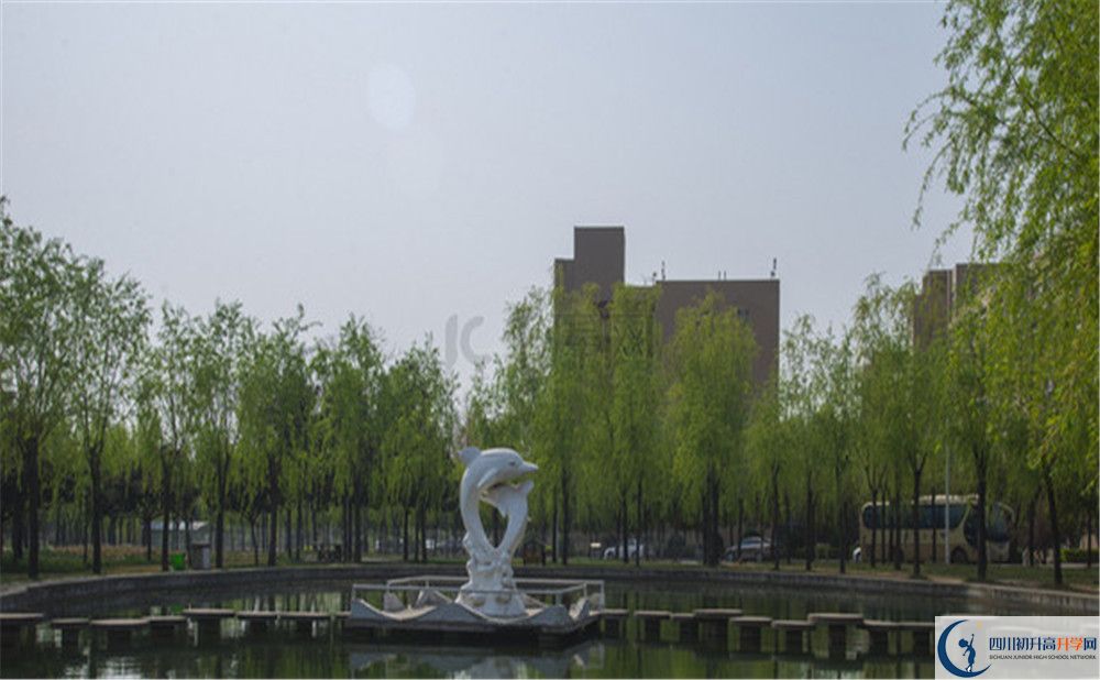 2020年廣安市中考報名有什么條件？