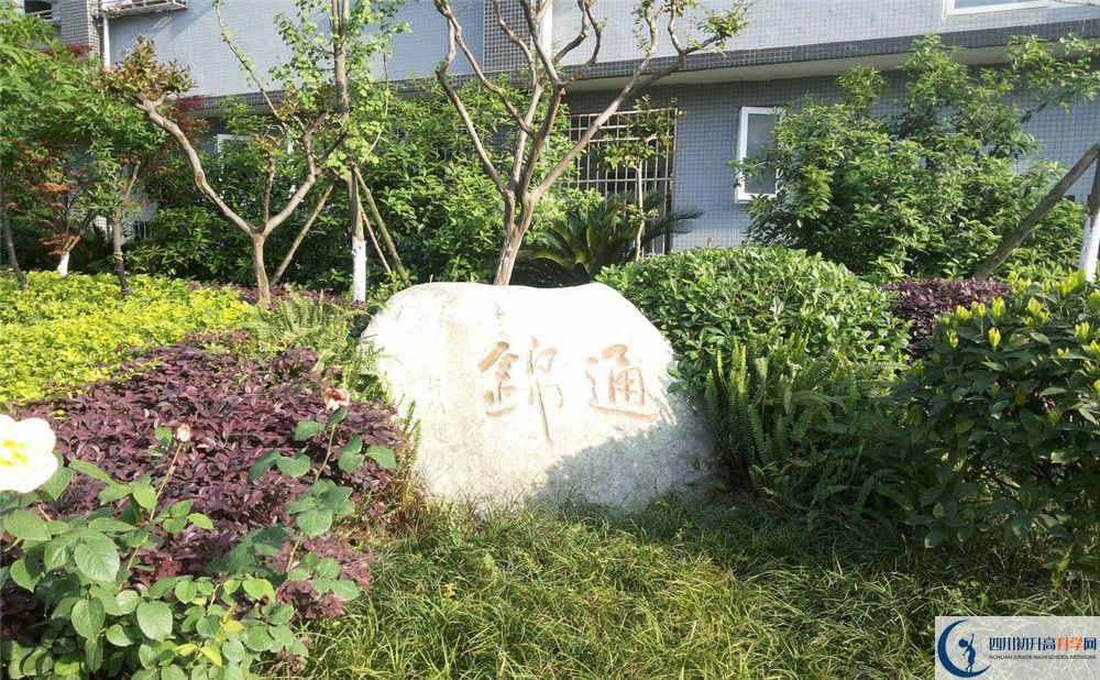 通錦中學(xué)2020年開(kāi)學(xué)時(shí)間安排是怎樣的？