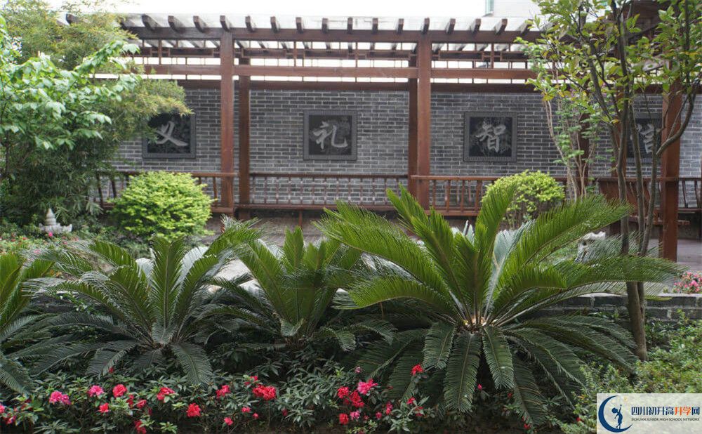 成都八中高三診斷考試時(shí)間怎么安排？