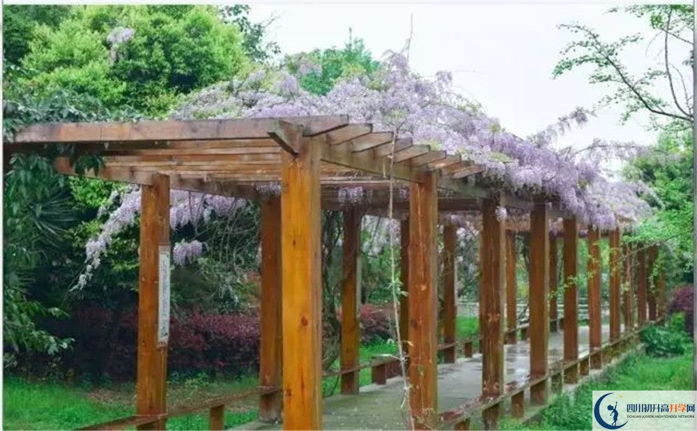 廣安花橋中學(xué)高三診斷考試時(shí)間怎么安排？
