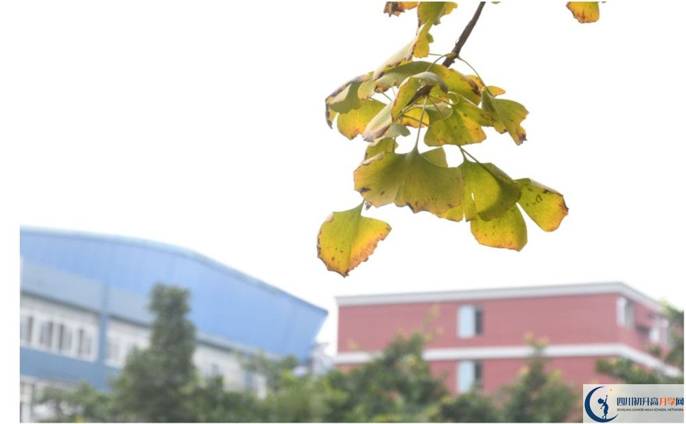 北京師范大學成都實驗中學地址怎么走？