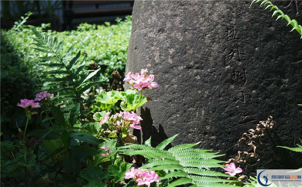 成都經(jīng)濟(jì)技術(shù)開發(fā)區(qū)實(shí)驗(yàn)中學(xué)2020年中考收分線是多少？