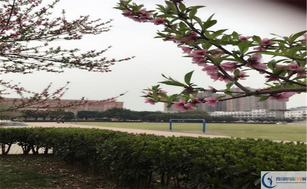 2020年樹德博瑞實驗學校怎么樣？