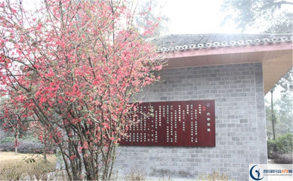 彭州中學2020年怎么樣？