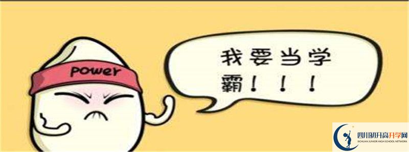 北二外成都附中2021清華北大錄取學生多少？