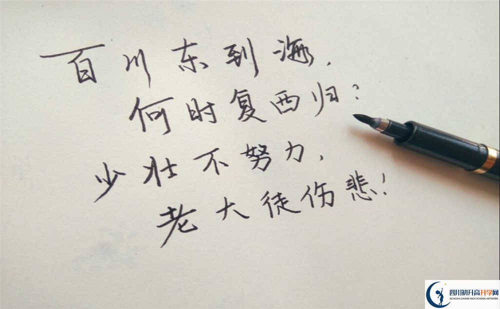 2023年巴中市第五中學升學率怎么樣？
